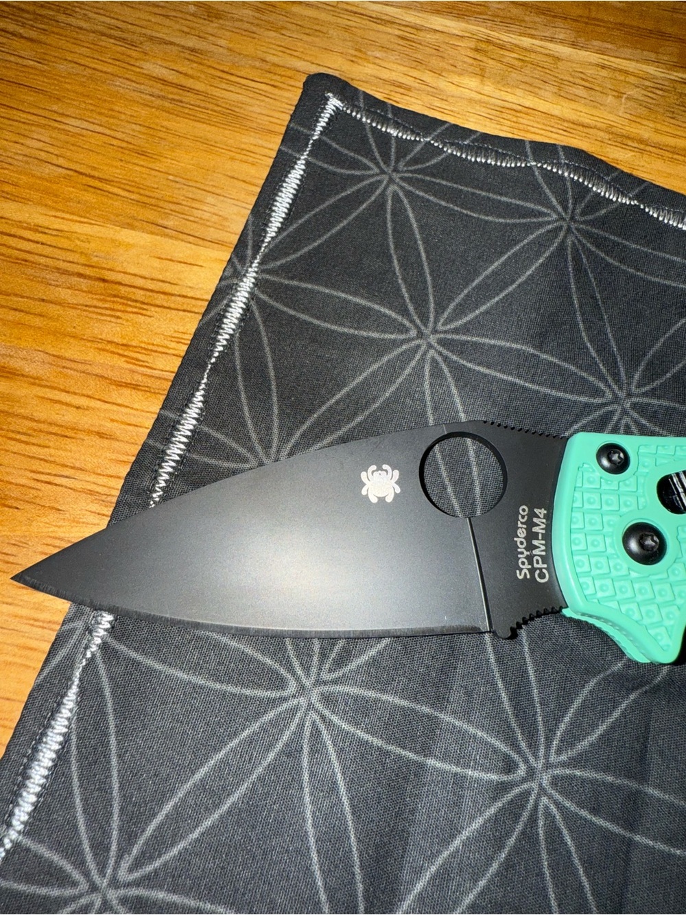 Spyder Folding Knife with Teal-Green Handle and Black Blade